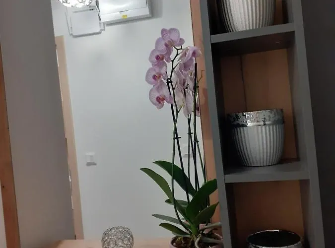 Cirkalo Apartman